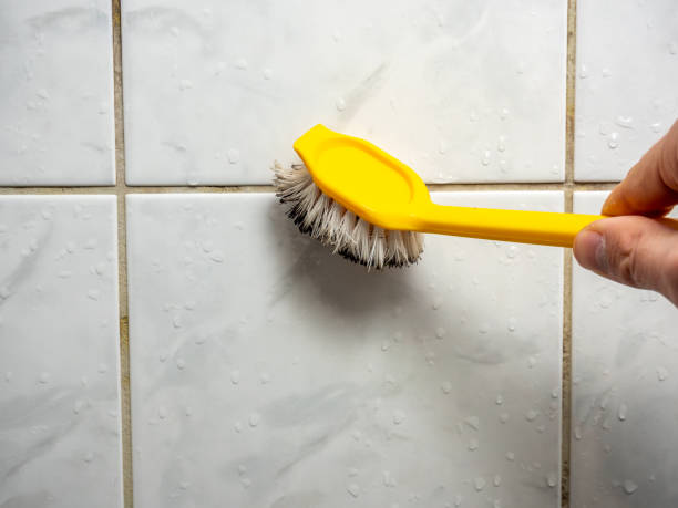 Best Mold Removal Near Me  in Lincoln Park, NY
