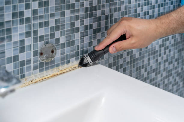 Best Certified Mold Removal  in Lincoln Park, NY