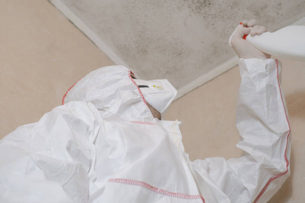 Best Crawl Space Mold Removal  in Lincoln Park, NY