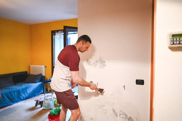 Best Office Mold Removal Services  in Lincoln Park, NY